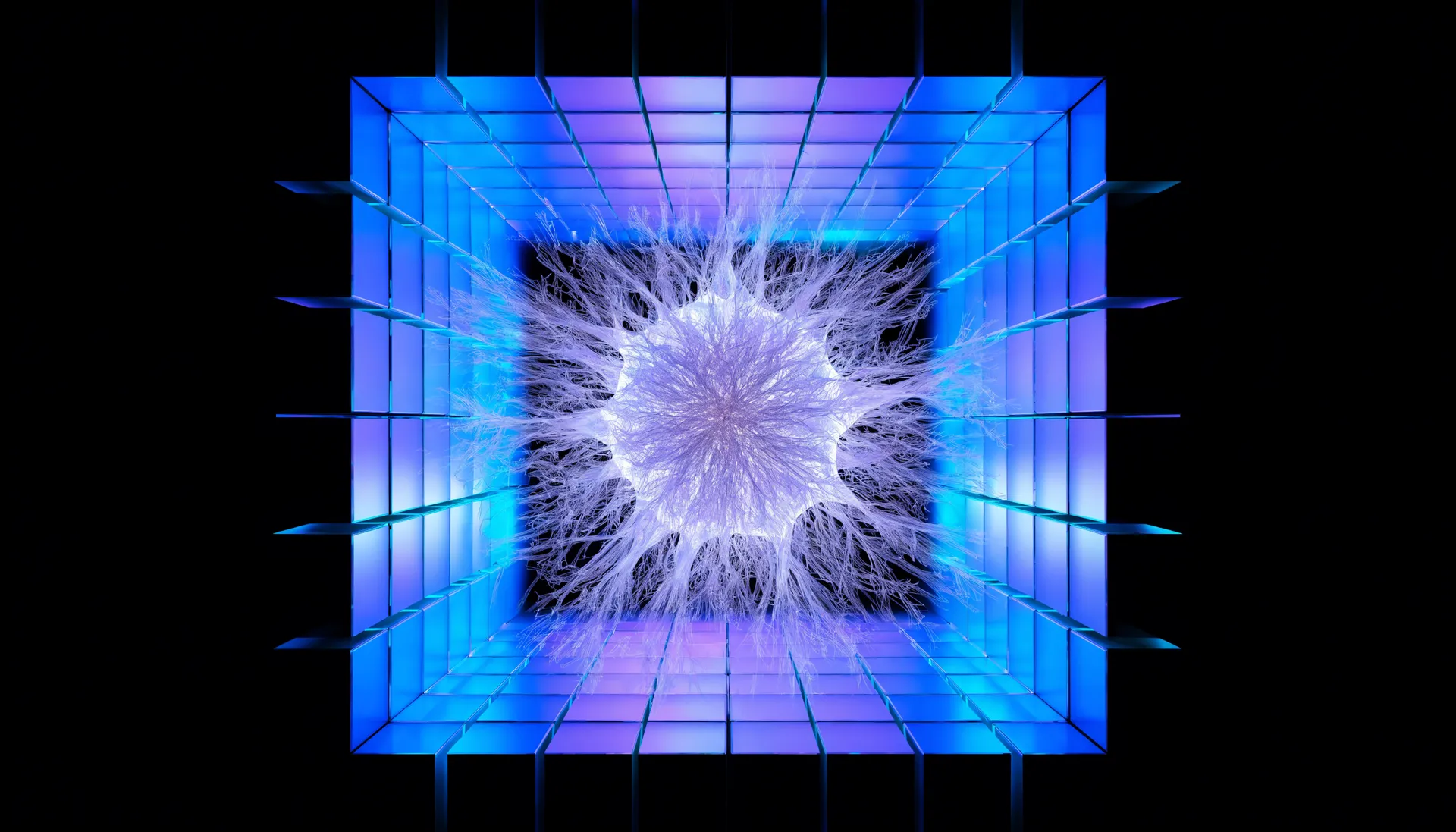 Abstract light artwork for the media-band section